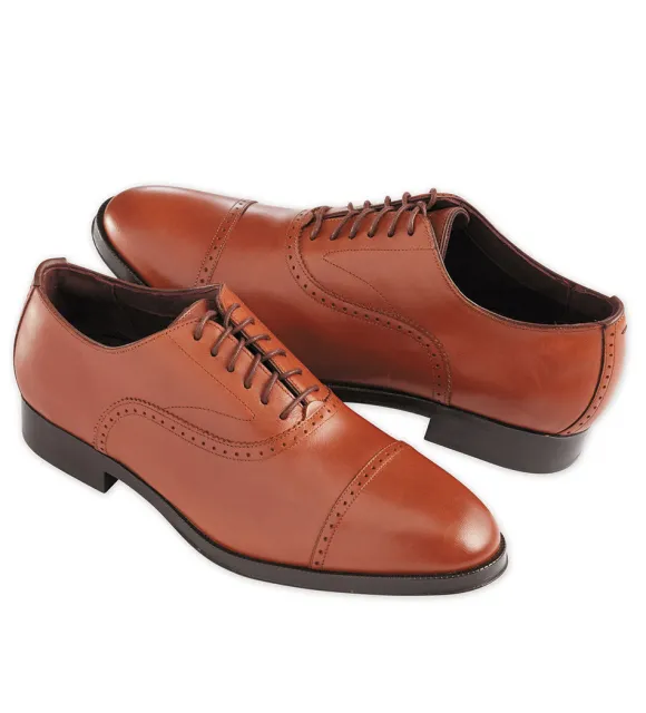 Cole Haan Dawson Wingtip Oxford Shoes