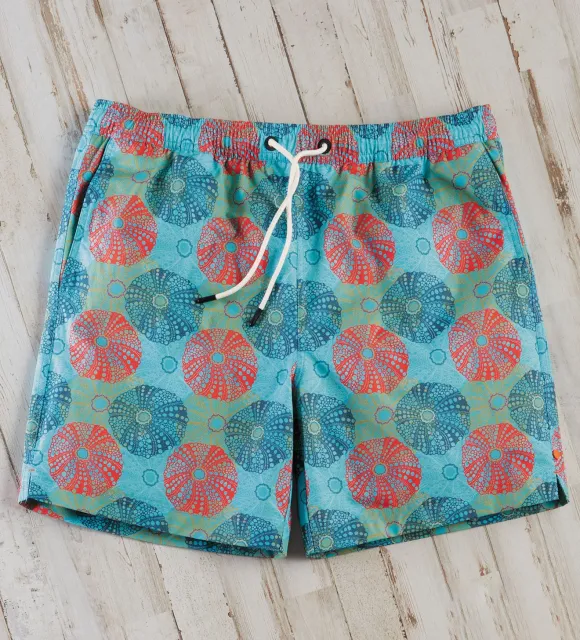 Swims Sand Dollar Swim Shorts