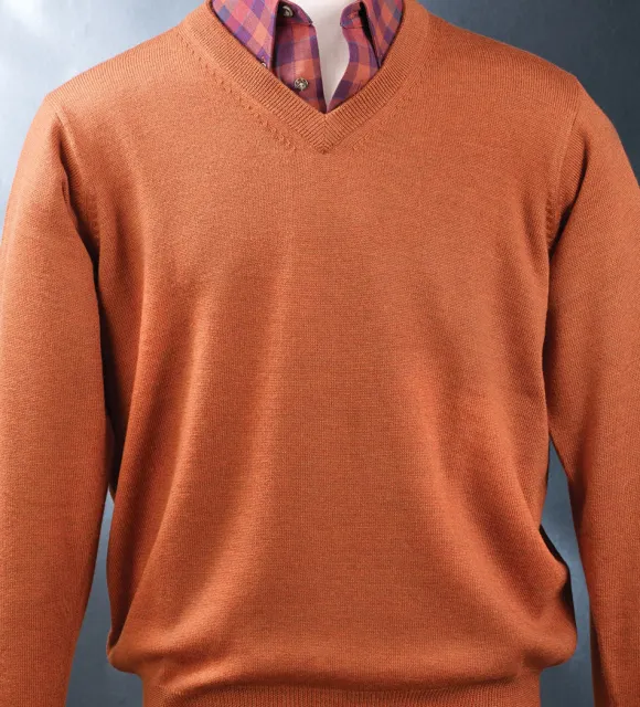 Viyella V-Neck Pullover Sweater